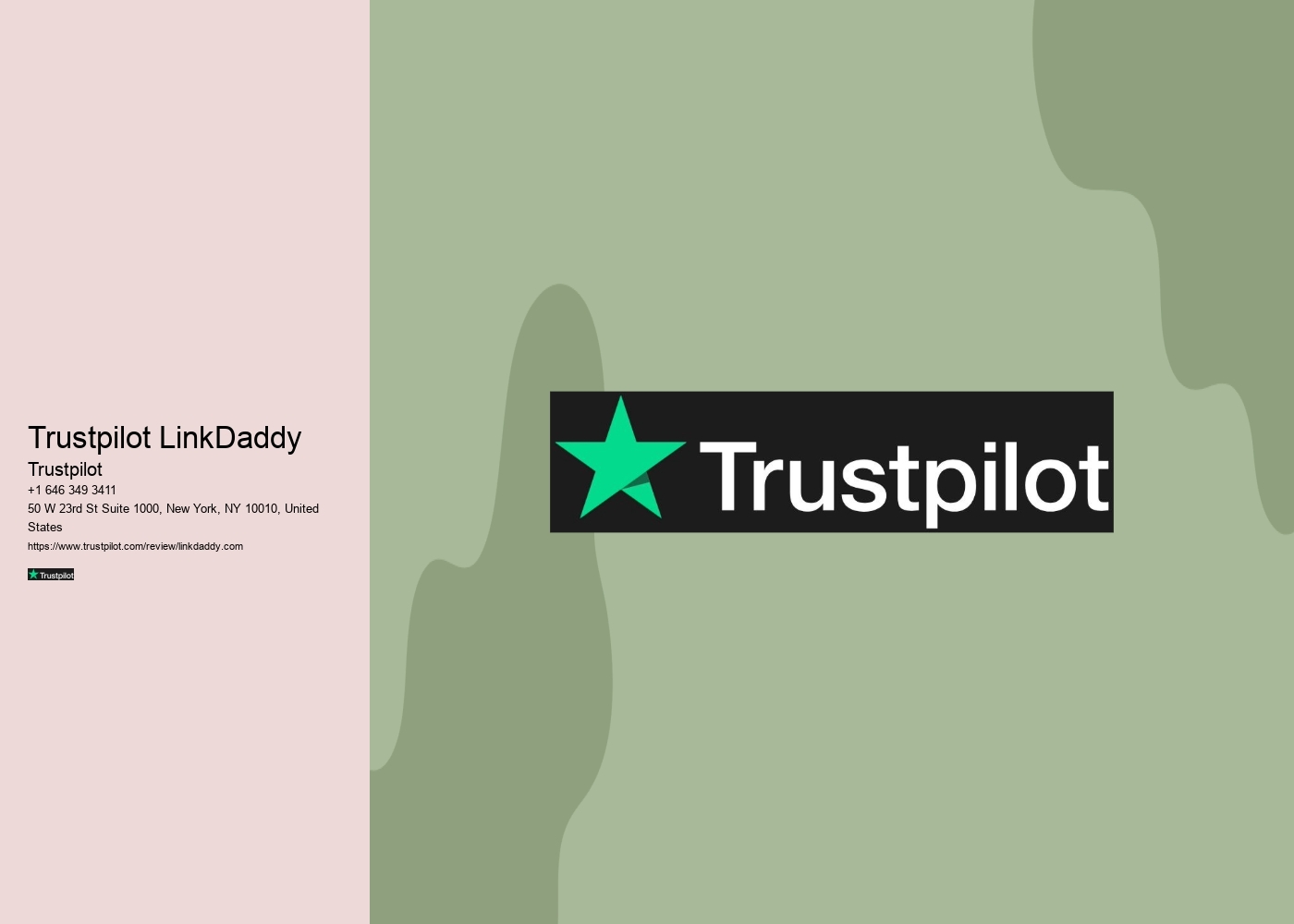 Trustpilot LinkDaddy